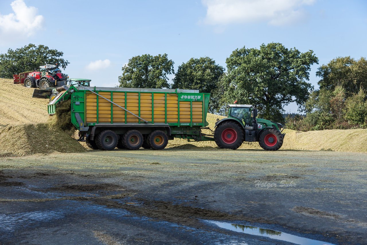 Bild 149 - Maisernte